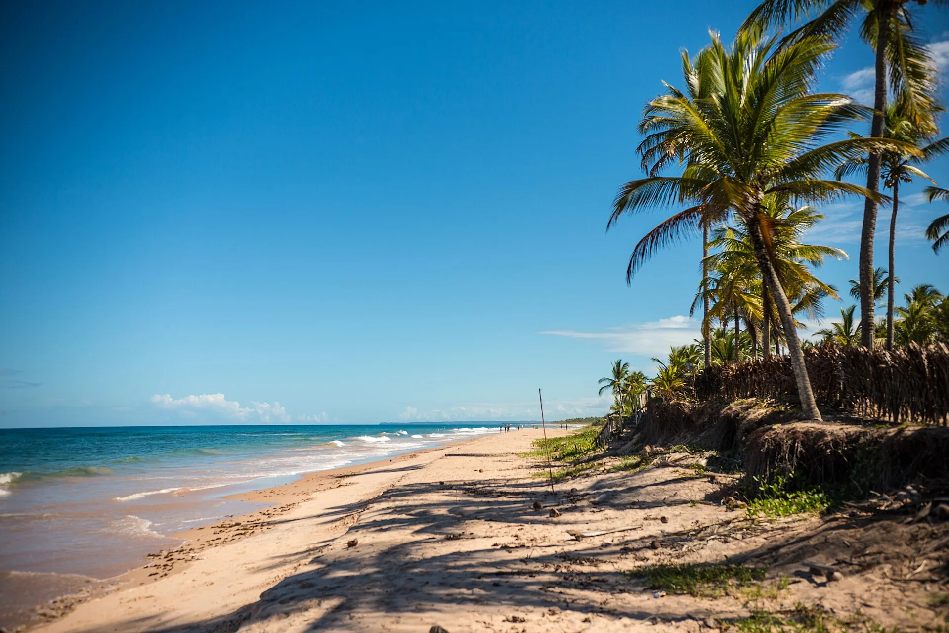 Paisagem em Maraú, Bahia