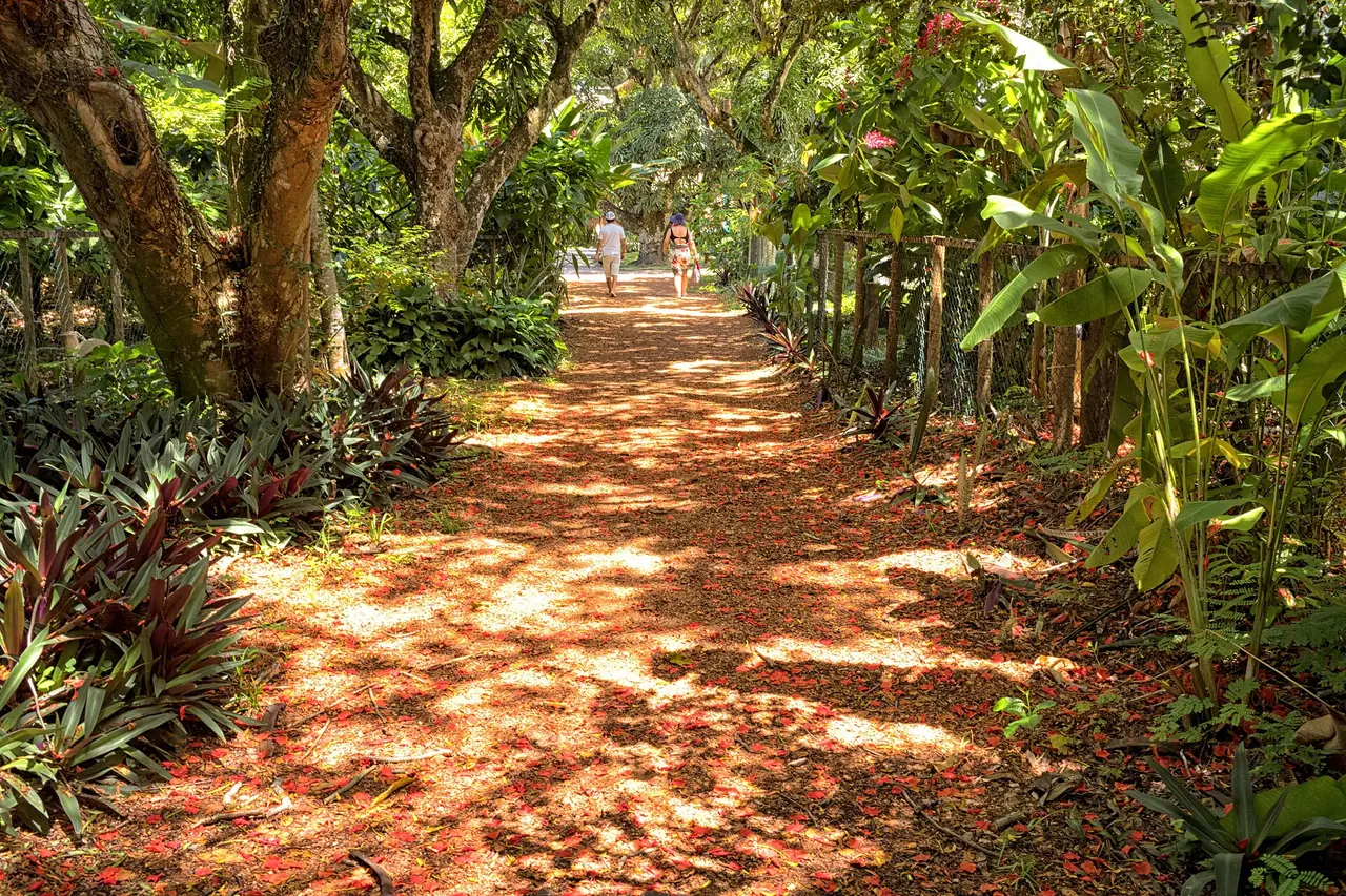 Paisagem em Maraú, Bahia