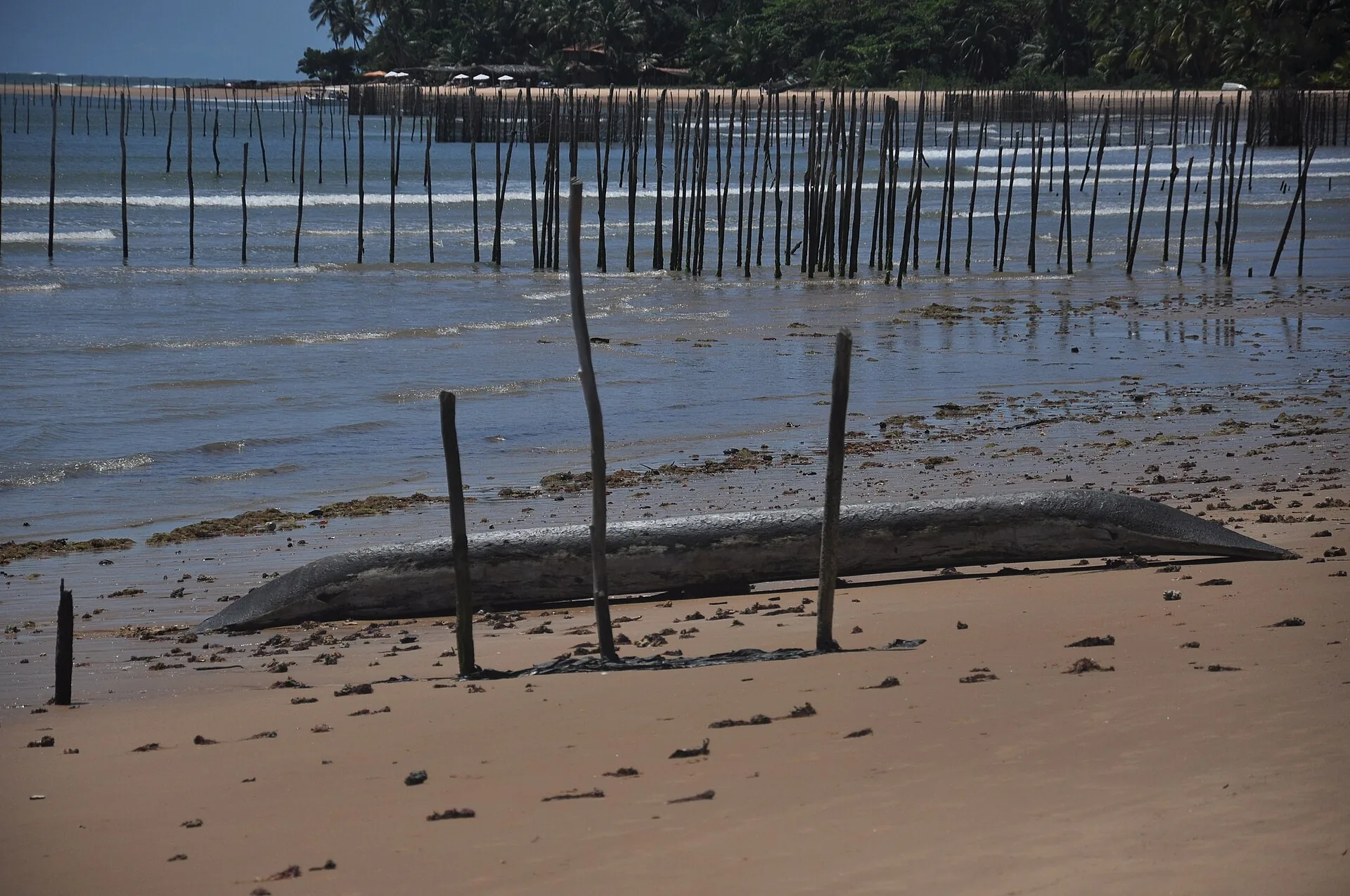 Paisagem em Maraú, Bahia