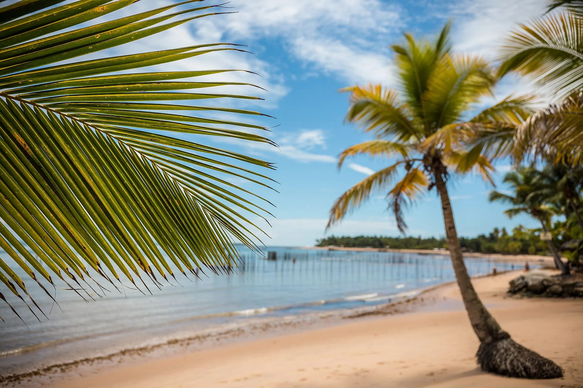 Paisagem em Maraú, Bahia