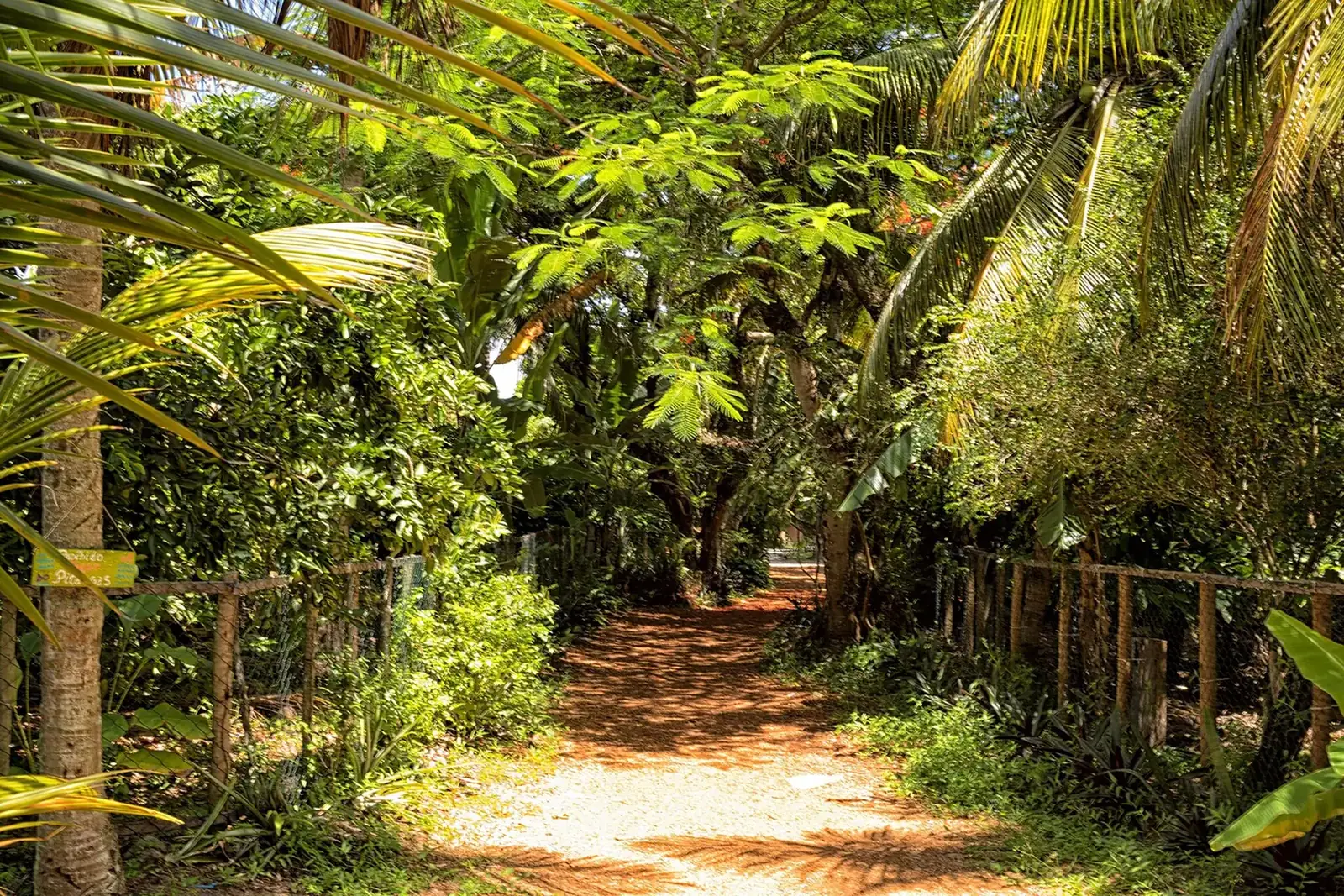 Paisagem em Maraú, Bahia