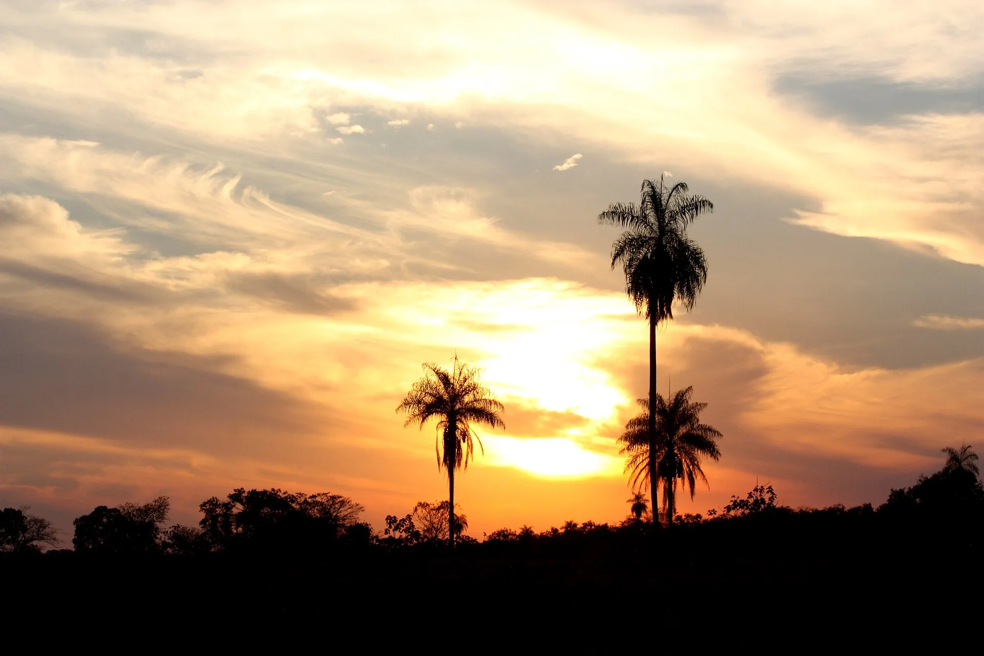 Paisagem