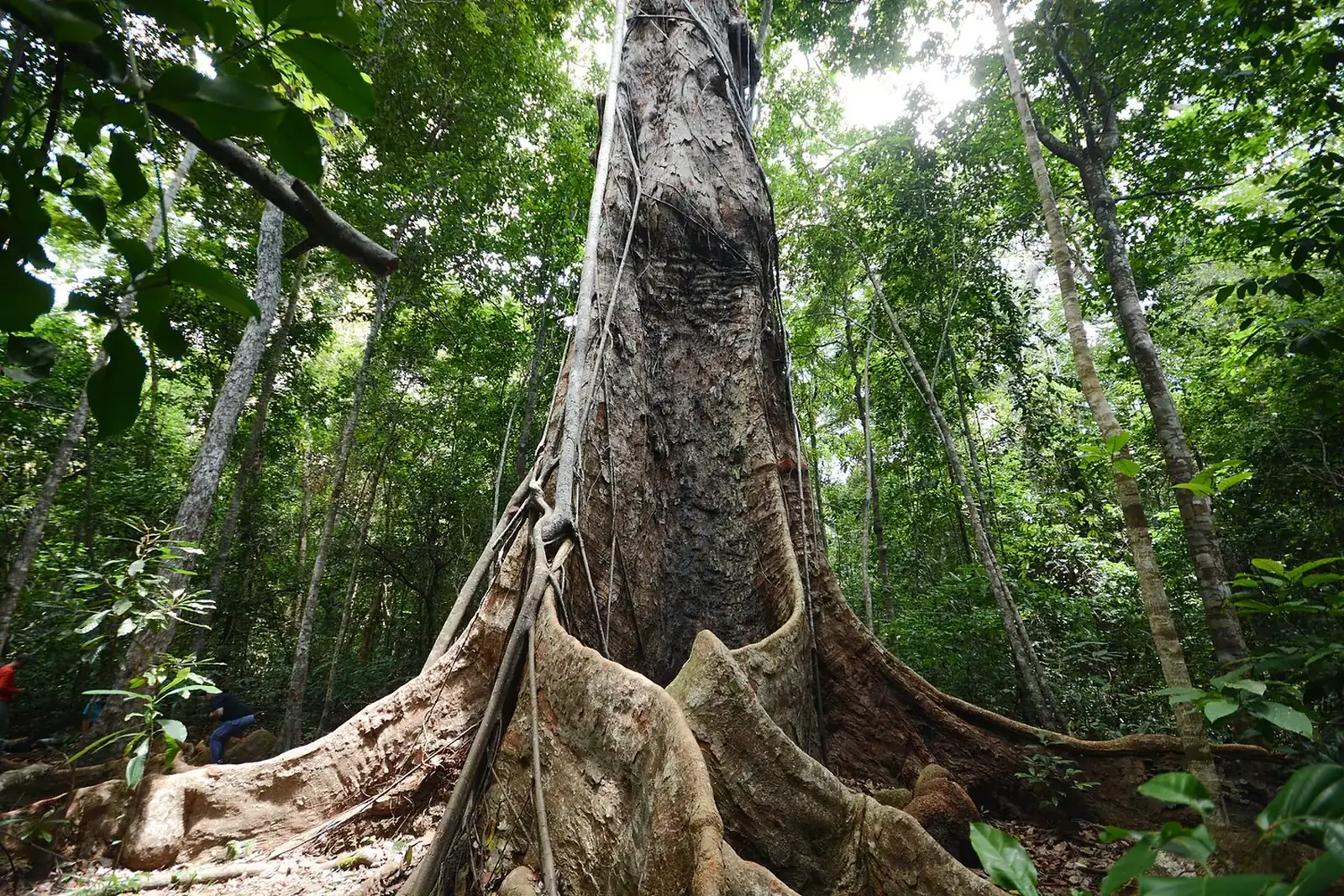 Paisagem