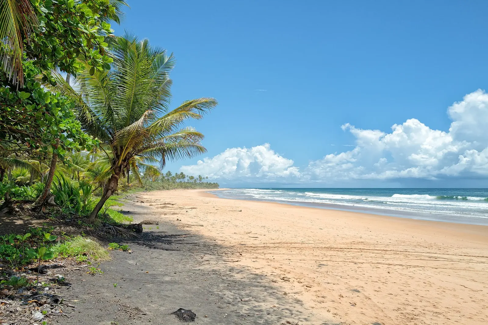 Areia e coqueiral na Península de Maraú