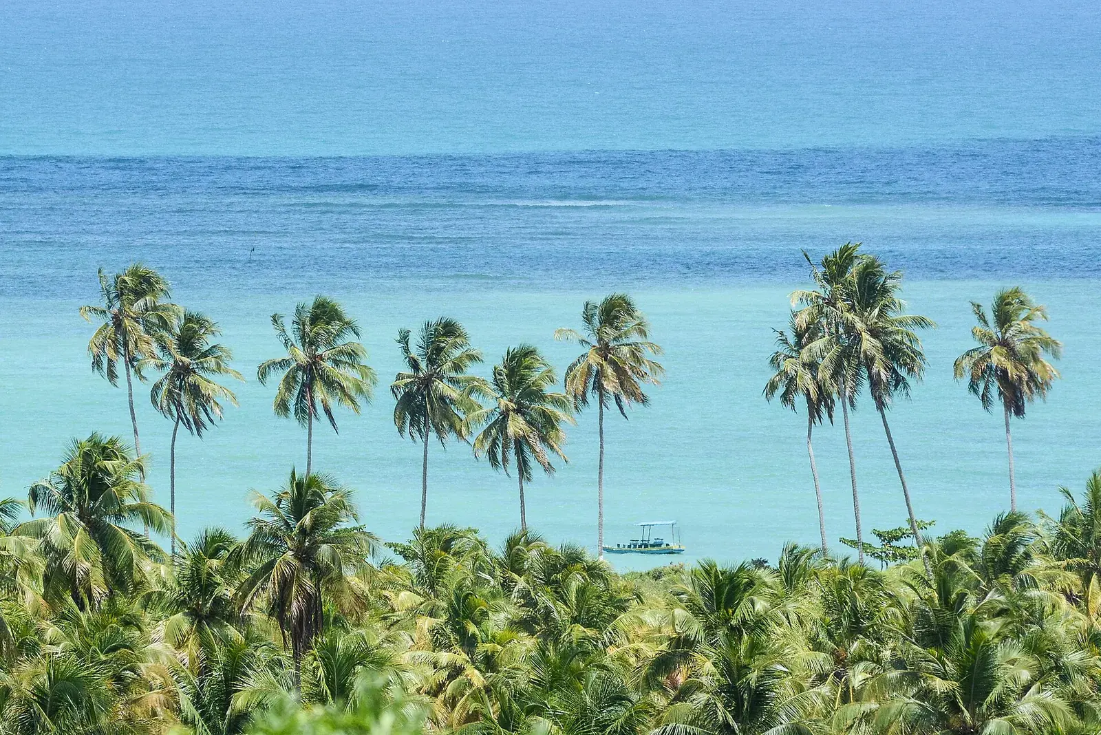Paisagem em São Miguel dos Milagres, Alagoas