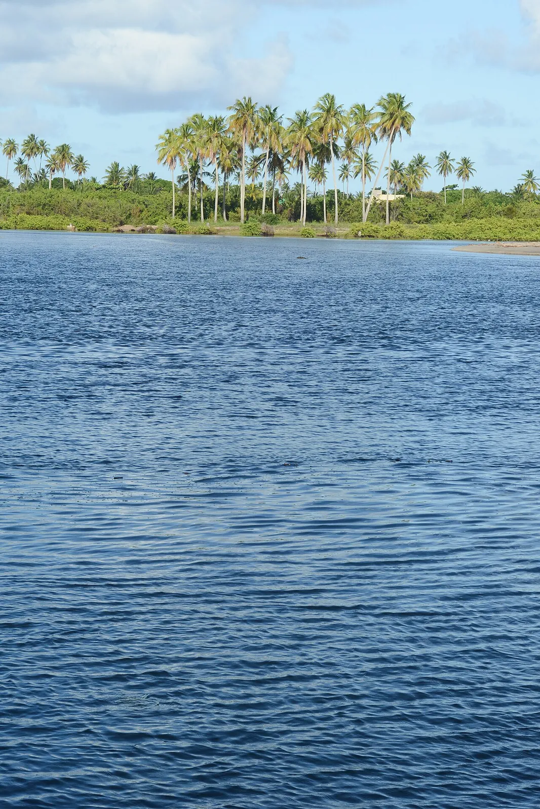 Paisagem em São Miguel dos Milagres, Alagoas