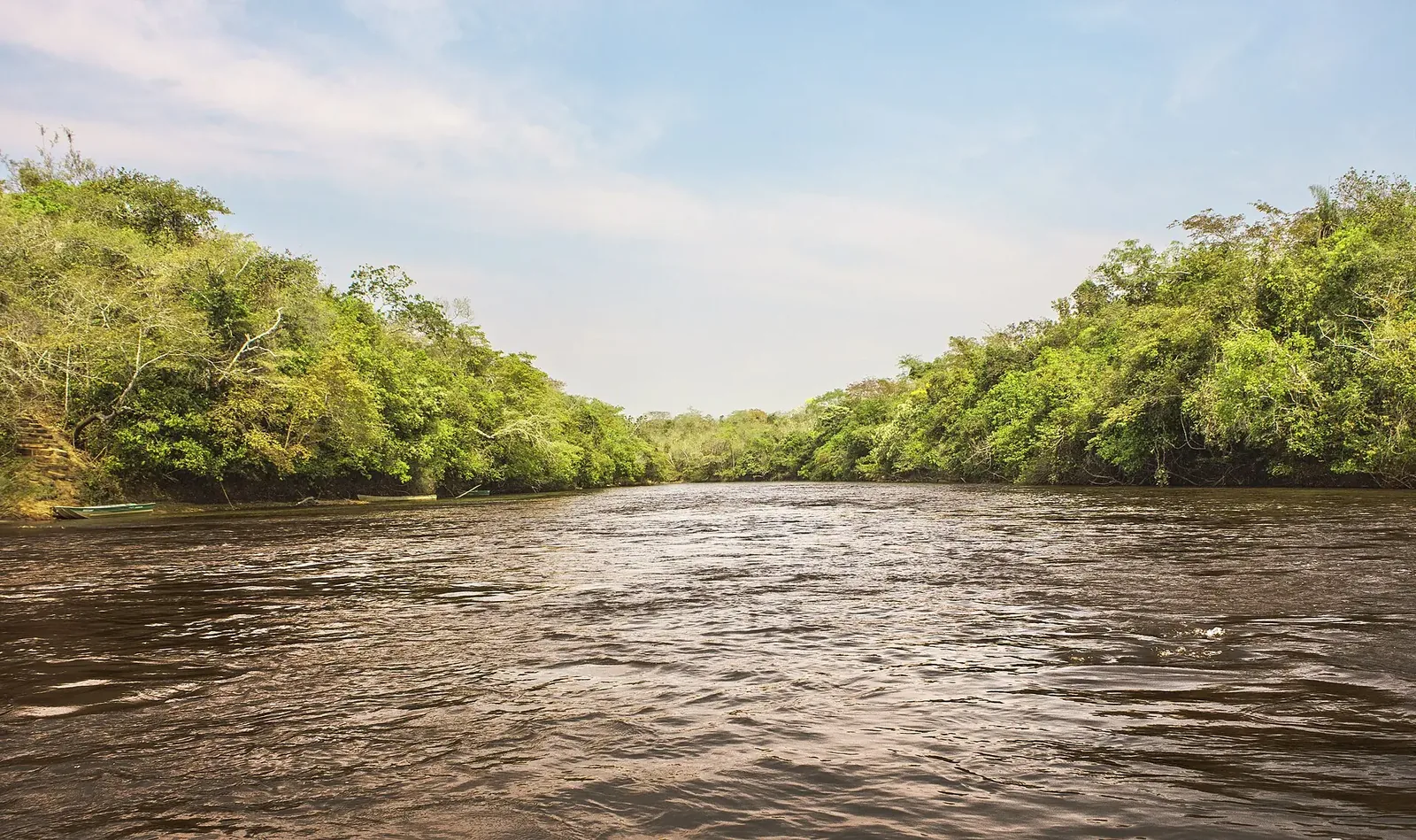 Rio Aquidauana entre mata, em Mato Grosso do Sul