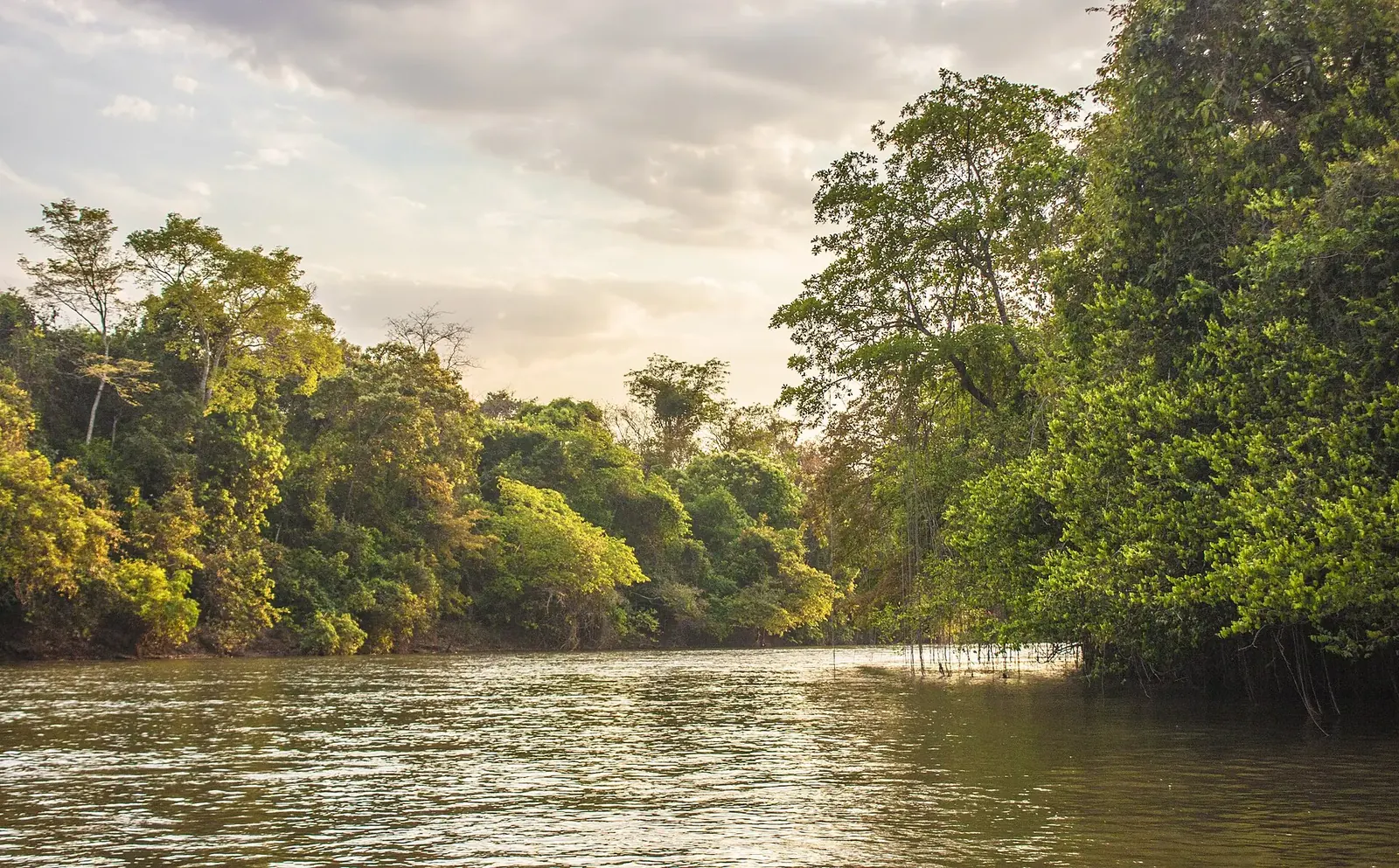 Rio Aquidauana entre mata ciliar