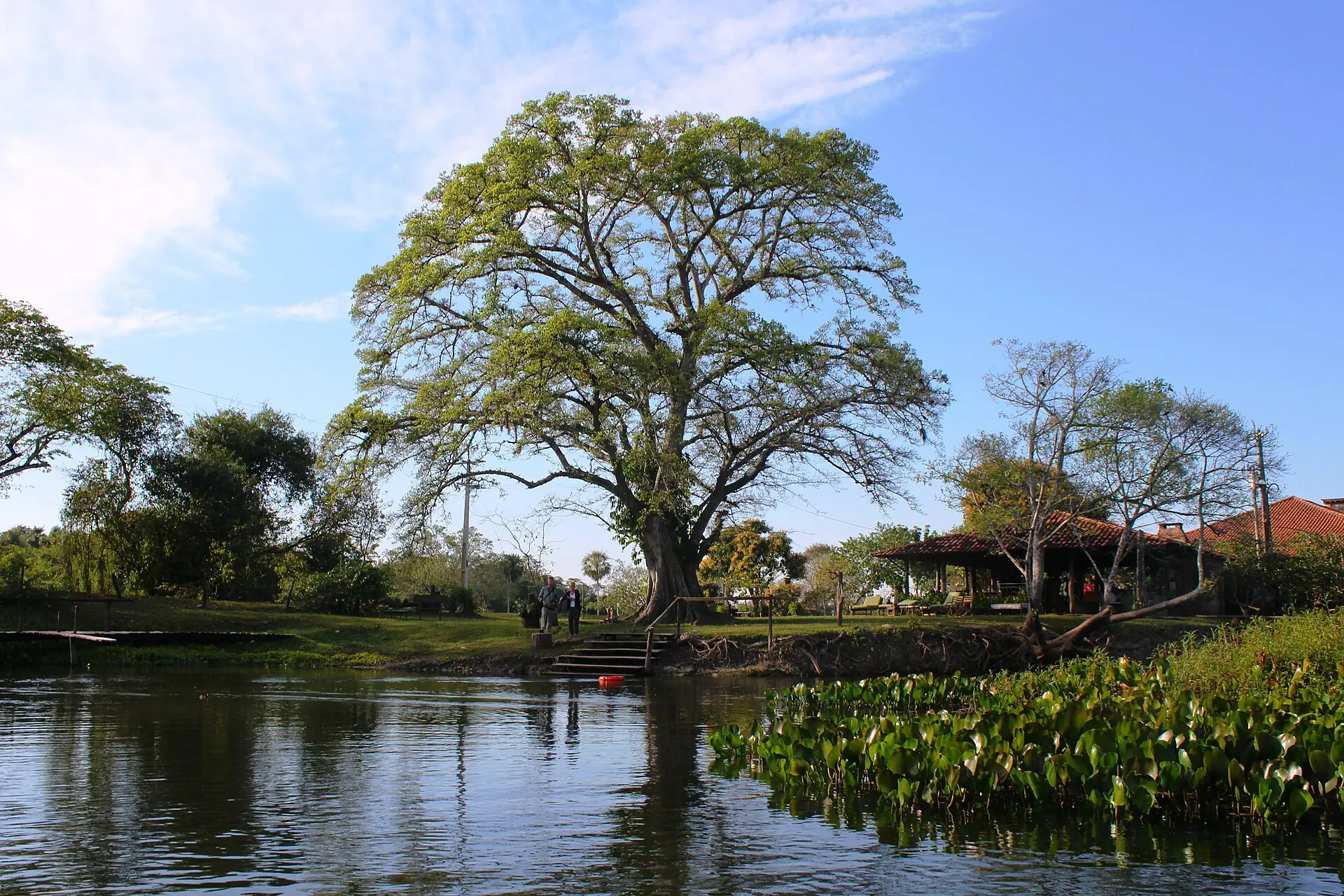 Paisagem