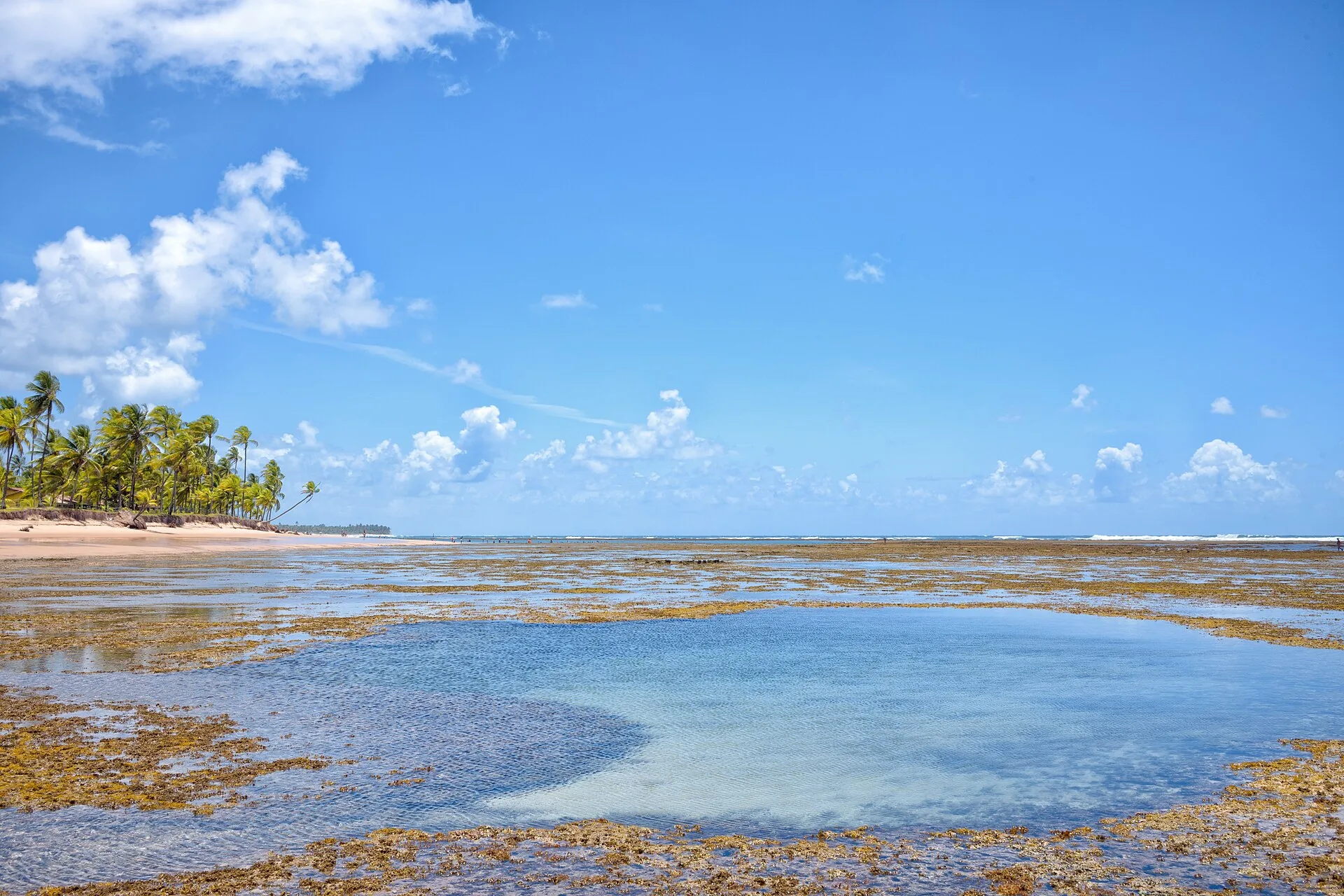 Paisagem em Maraú, Bahia